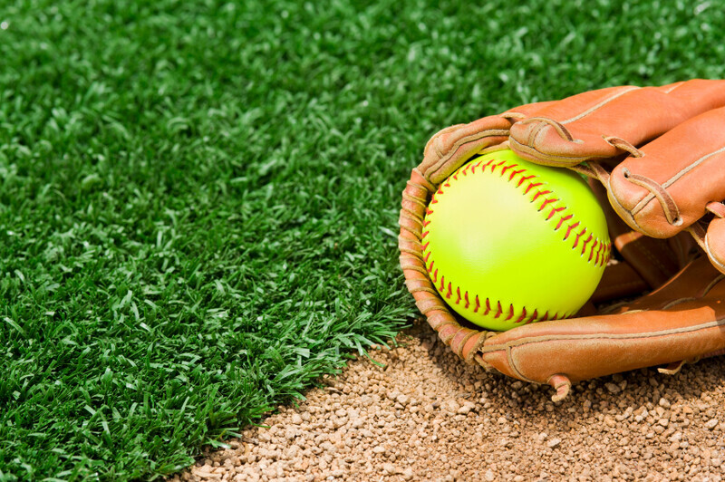 A New Softball and bat sitting between the infield grass and dirt of a softball diamond